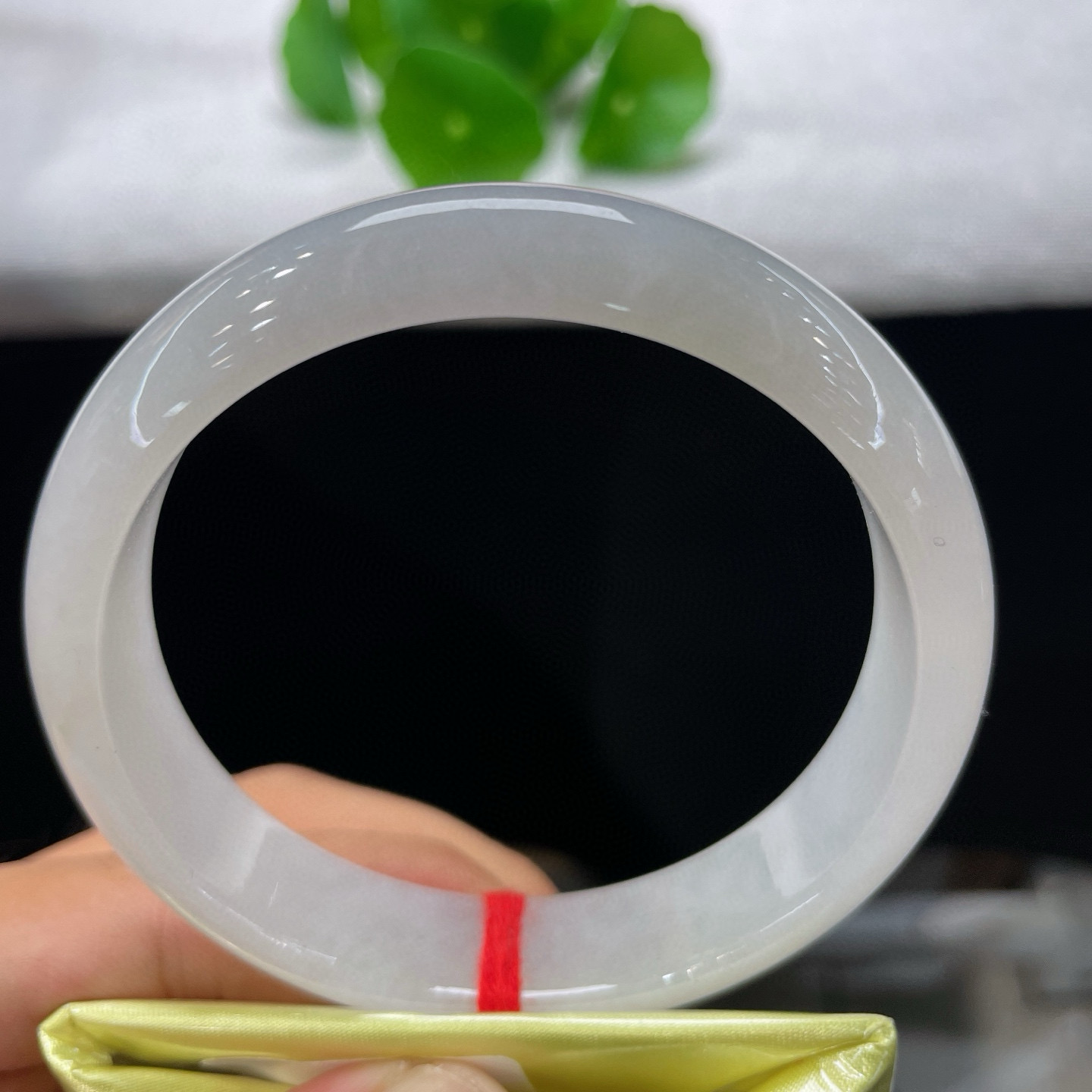 天然A货翡翠手镯乳白61.6缅甸老坑淡白绿正圈大码尺玉镯清新淡雅