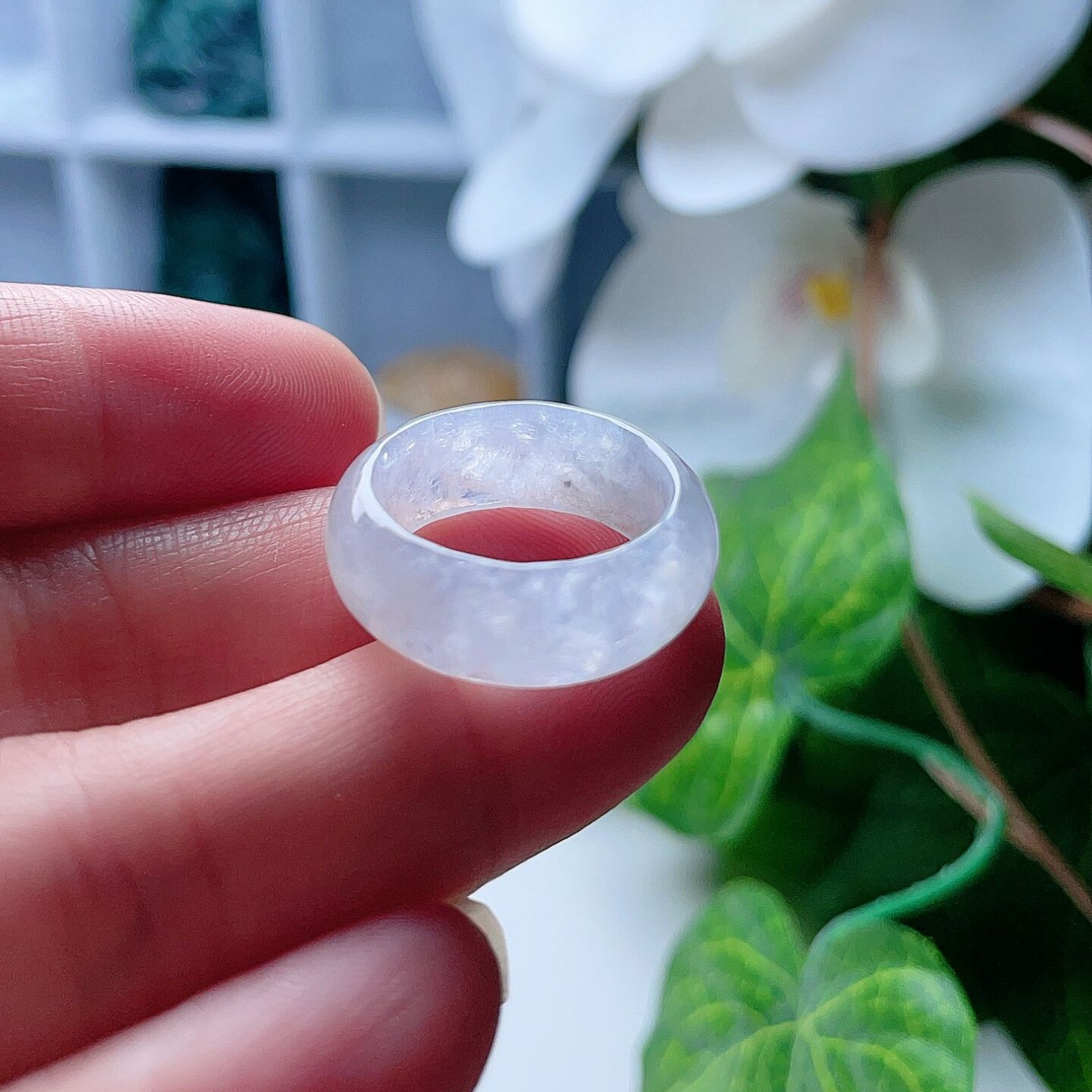 天然翡翠冰种戒指乳白一点乌鸡