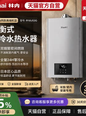林内平衡式零冷水燃气热水器