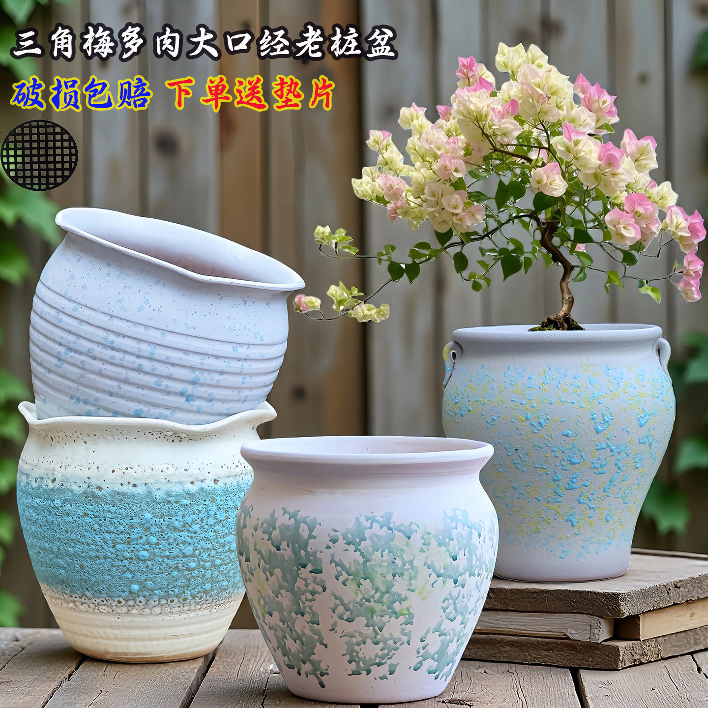 三角梅多肉大口老桩盆陶瓷花盆透气圆形阳台兰花陶瓷户外庭院植物