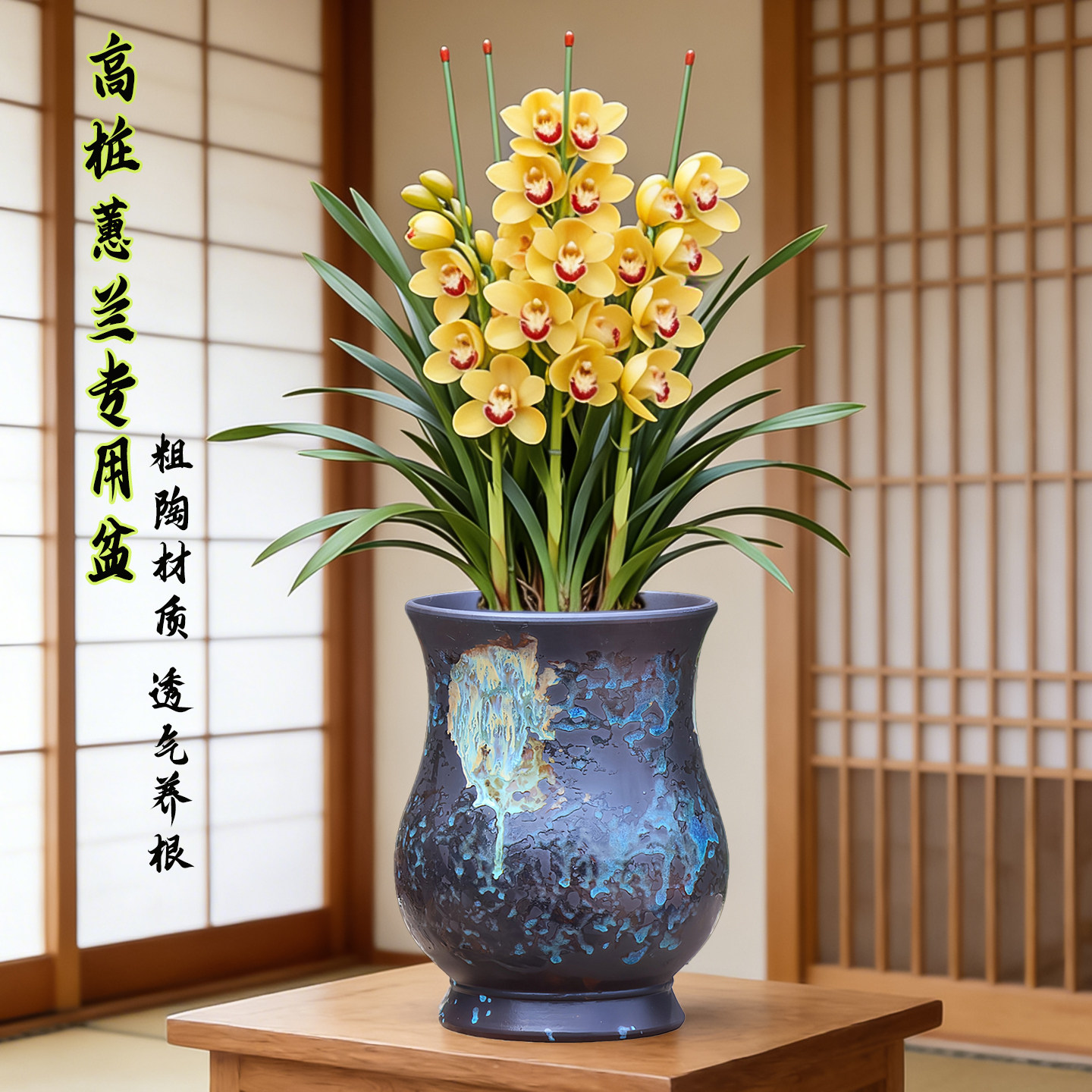 大口径兰花专用盆多肉陶瓷高筒九尾狐悬崖三角梅飘枝透气粗陶花盆