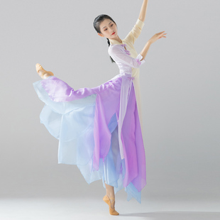古典舞旗袍中国舞练功服身韵舞蹈服女纱衣飘逸民族舞表演舞蹈服装