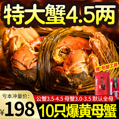 特大大闸蟹鲜活螃蟹公母