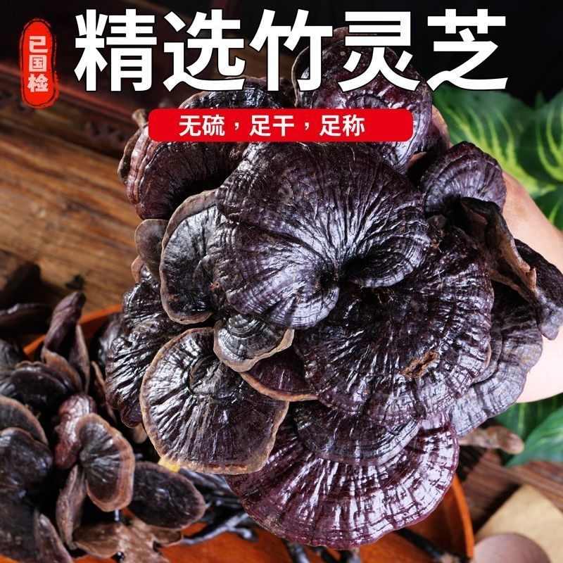 正宗竹灵芝野生纯天然云南原生态野生竹灵芝金边灵芝