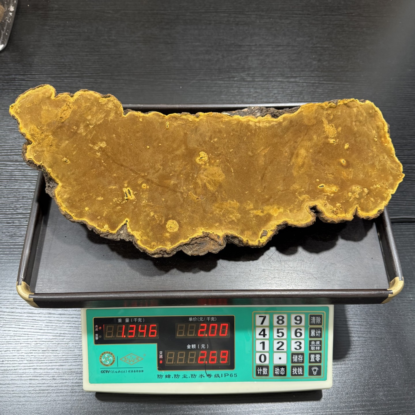 西藏野生桑树桑黄灵芝