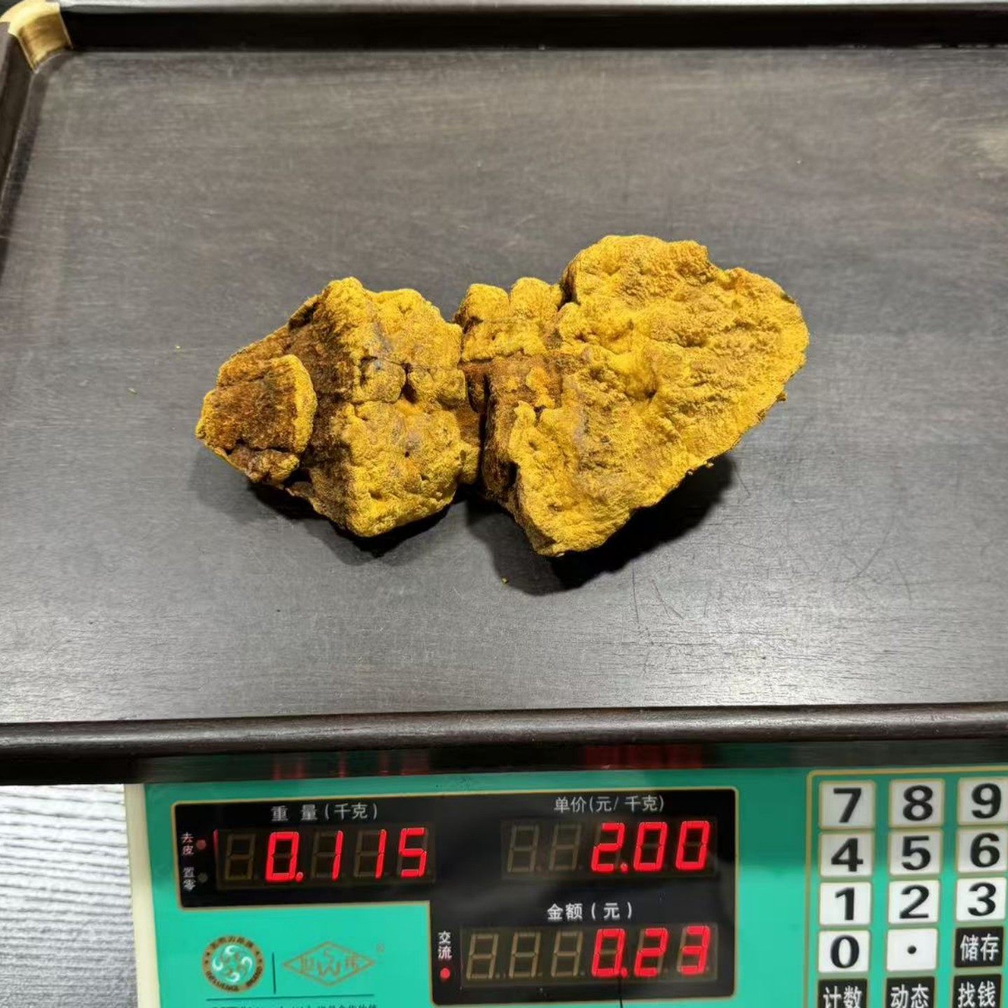 西藏野生桑树桑黄灵芝