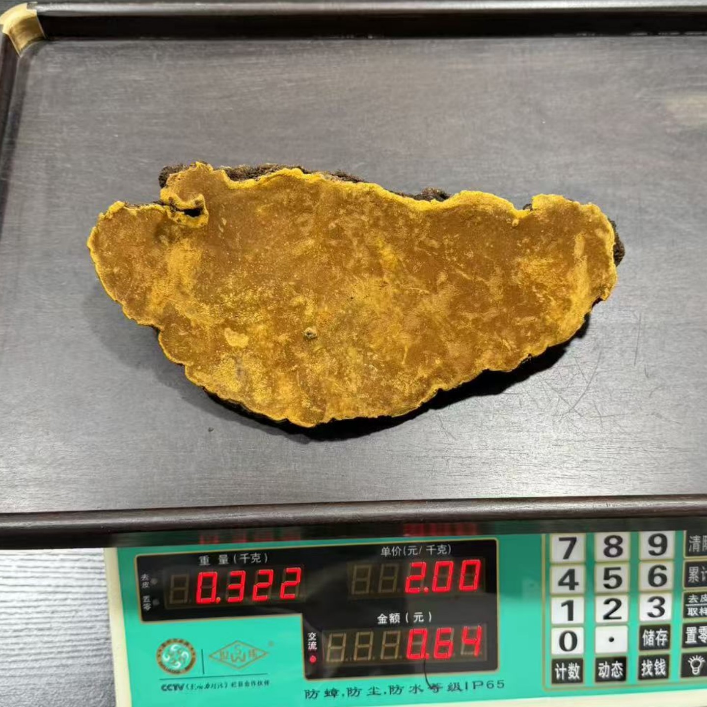 西藏野生桑树桑黄灵芝