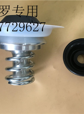 隔膜组件\3050976090\米顿罗计量泵专用\GM0500PQ1MNN配件