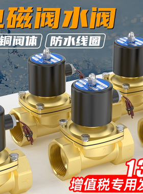 2W常闭进水24V电磁阀220V铜开关阀2分4分6分1寸放水控制阀12V水阀