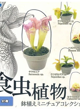 虾壳社 现货日本RAINBOW扭蛋 食虫植物 盆栽微缩摆件 瓶子草 猪笼