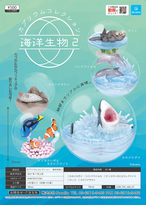 QUALIA虾壳海洋生物小摆件扭蛋