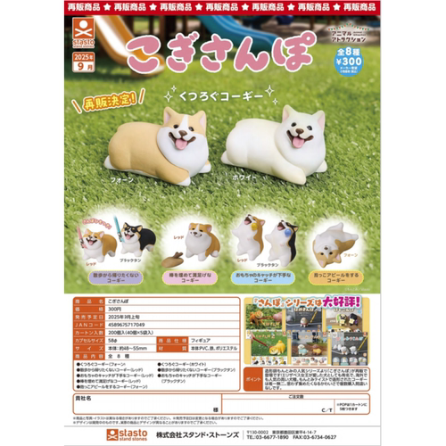 虾壳社 定金日本STASTO扭蛋 不愿意回家的短腿柯基 摆件 可爱再贩