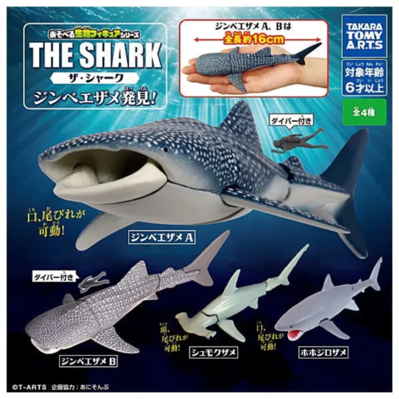 虾壳社 现货日本T-ARTS 扭蛋 多美卡 可玩生物系列 大白鲨和鲸鲨