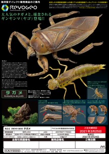 虾壳社现货日本KAIYODO手办 海洋堂 昆虫模型 节肢关节可动的田鳖
