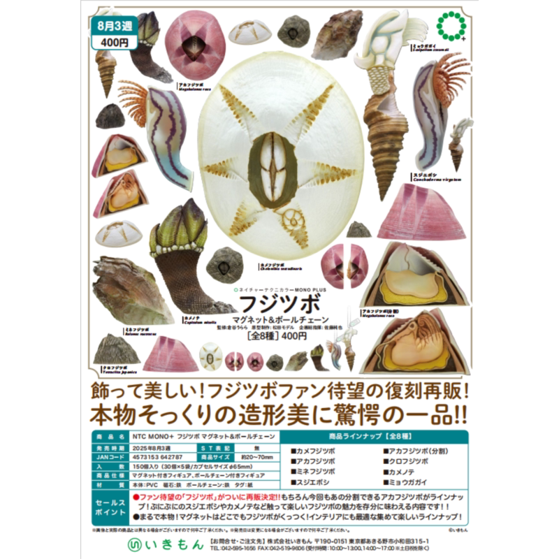 虾壳社 现货日本IKIMON扭蛋 海洋生物大图鉴冰箱贴 挂件 藤壶龟足