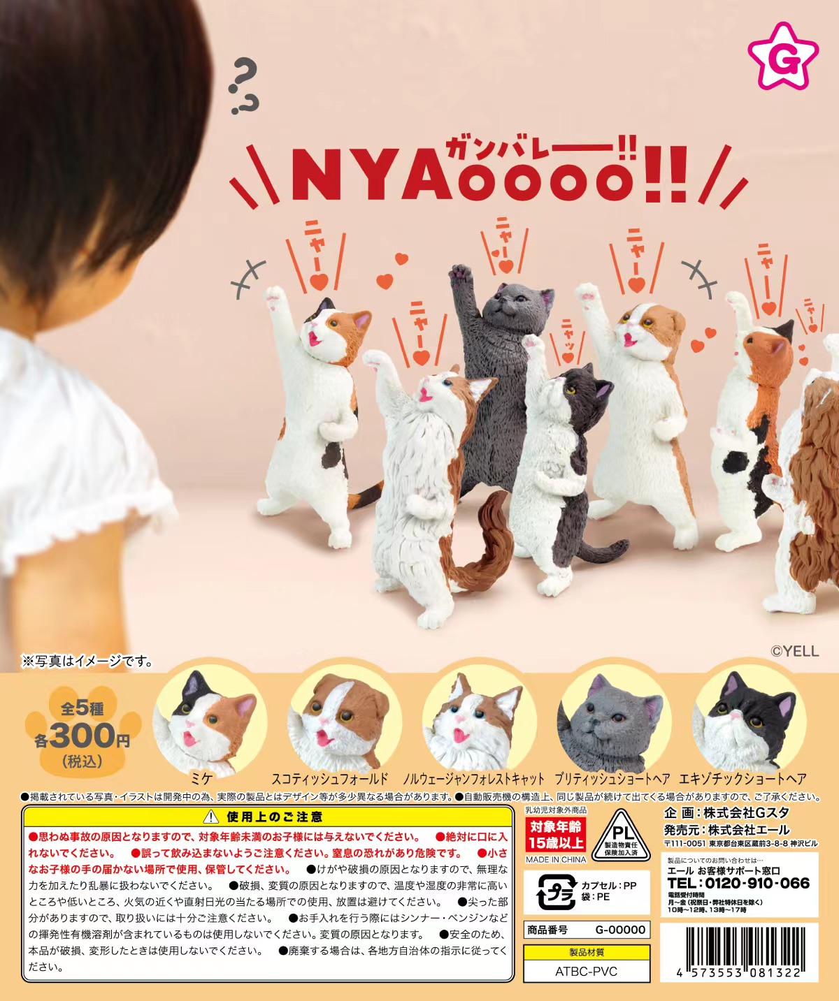 日本欢呼猫咪三花猫动物