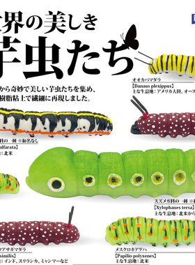 虾壳社 现货日本RAINBOW扭蛋 世界上美丽的毛毛虫 微缩 摆件 幼虫
