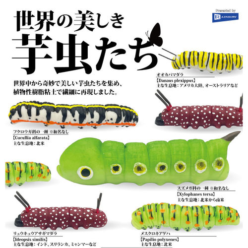 虾壳社 现货日本RAINBOW扭蛋 世界上美丽的毛毛虫 微缩 摆件 幼虫