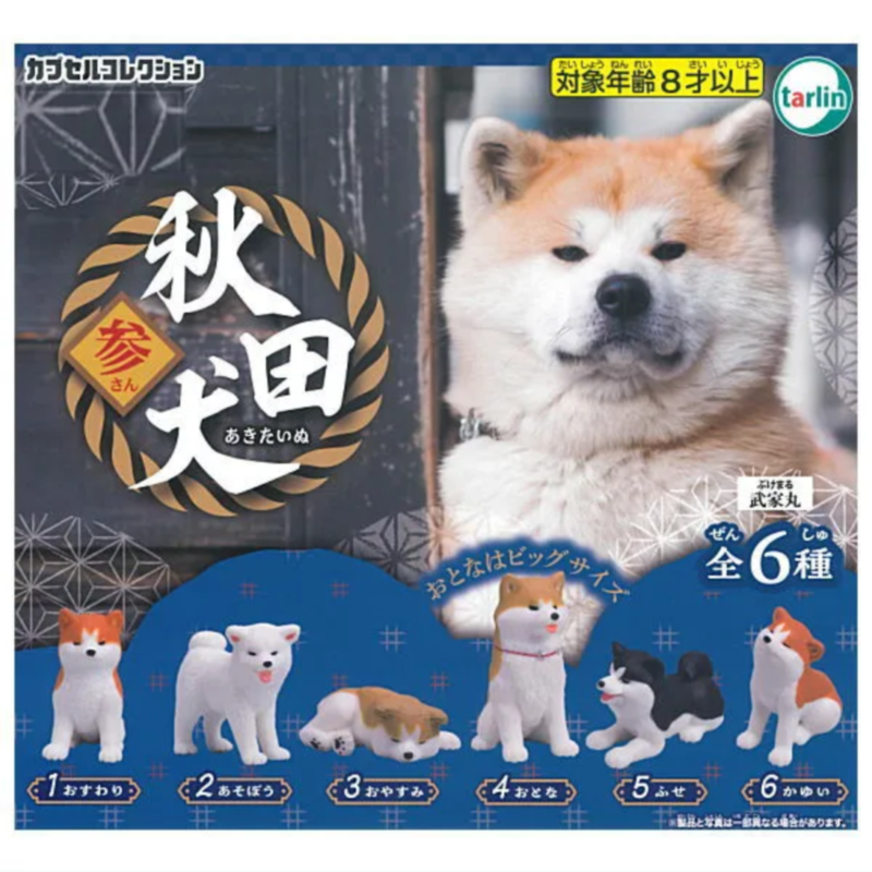 虾壳社 现货日本EPOCH扭蛋 秋田犬 第三弹 小狗狗 玩具 摆件 柴犬