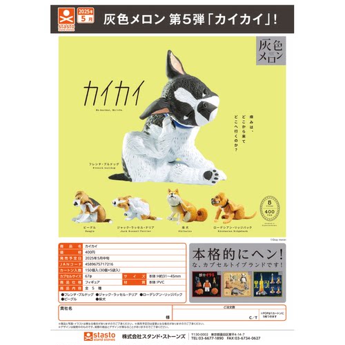 STASTO扭蛋挠痒的狗第五弹现货