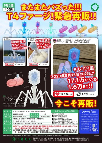 T4噬菌体再贩大肠杆菌细胞