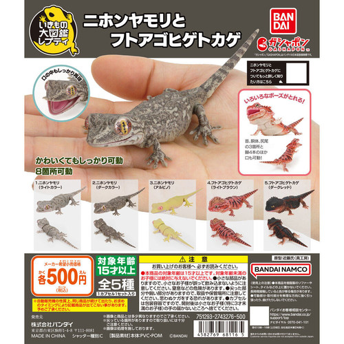 虾壳社 现货日本BANDAI扭蛋 万代 生物大图鉴 豹纹守宫和鬃狮摆件