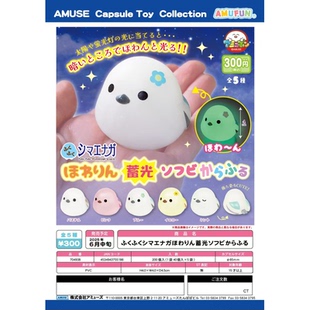 虾壳社 现货日本AMUSE扭蛋 闪闪发光的银喉长尾山雀摆件 荧光可爱