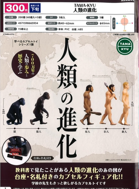 人类进化史摆件猿人山顶洞人