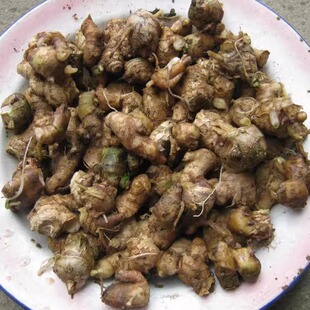 开店11年了!穷苦山民种来自己吃的沙姜三奈山奈调味品200克现采