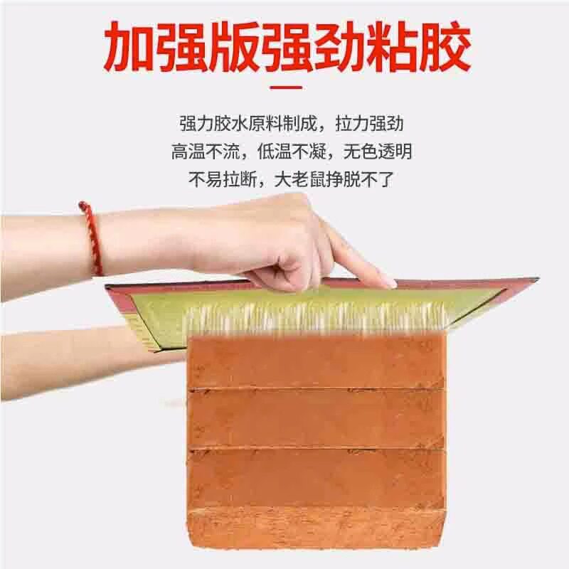 쥐덫과 쥐덫 유물을 잡기 위해 접착제로 큰 쥐를 잡을 수 있는 강력한 끈끈한 마우스 보드 30개  가정용 원 둥지 끝