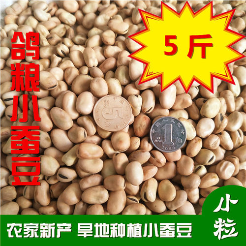 鸽粮小蚕豆赛鸽小粒豆子喂鸽子蚕豆小颗粒5斤装包邮