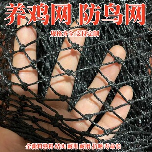 定制黑色尼龙聚乙烯养殖网户外养鸡网塑料拦鸡网菜园护栏网防鸟网