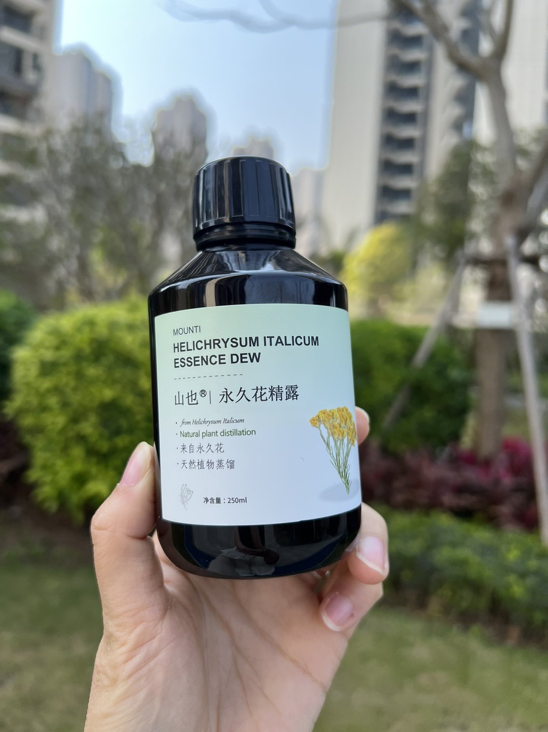 永久花纯露 250ml