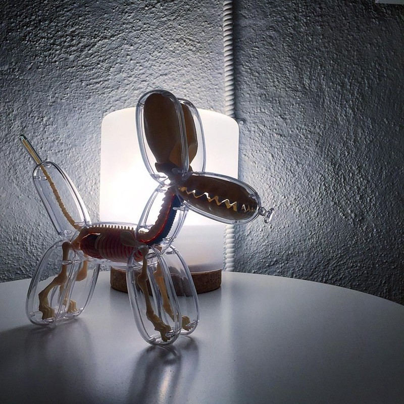 jason freeny balloon dog 夜光半解剖气球狗摆件潮玩手办收藏