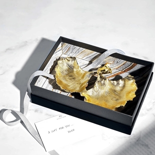 Michael Aram金色银杏杂物小盘水果盘金属耐用创意小吃盘生日礼物