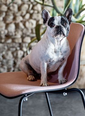 意大利Magis Troy Stacking Chair 简约扶手椅单人时尚餐椅休闲椅