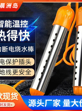 晨洲岛自动断电烧水器不锈钢大功率加热棒可调节温控热得快