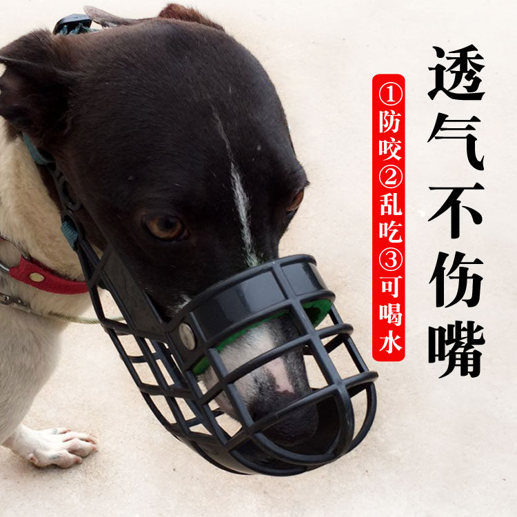 狗笼嘴套格力犬口笼尼龙细狗口罩惠比特防咬乱吃灵缇犬咬嘴狗狗