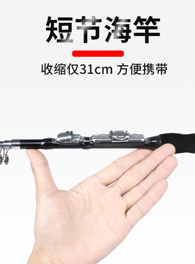 迷你小海竿套装冬钓竿鱼竿冰钓竿短节便携甩杆矶竿路亚海杆抛竿