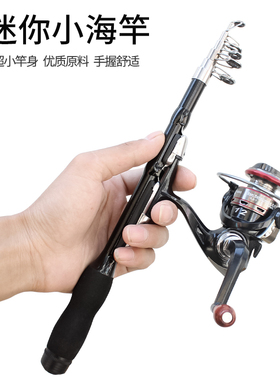 鱼竿迷你海竿套装冰钓竿小海竿超短便携甩竿全套单竿金属轮海杆抛