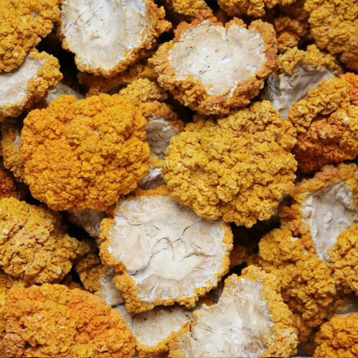西藏野生金耳无添加黄金耳西藏特产林芝黄木耳250g可煲汤煮粥