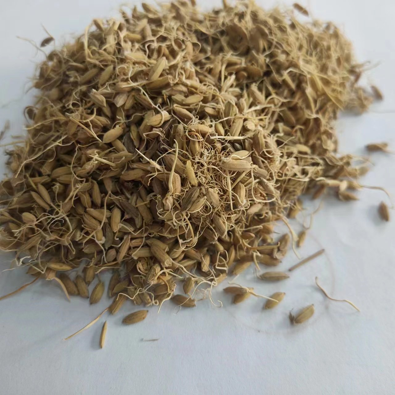 生谷芽 拍3斤包邮 生稻芽 谷芽 稻谷芽 谷牙 中药材正品 500g克