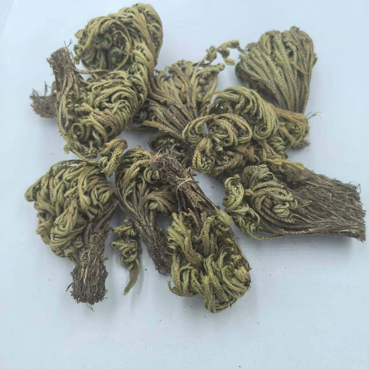 卷柏正品无硫500g包邮中药材