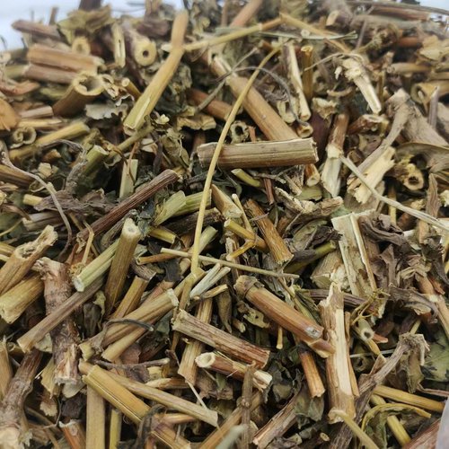 败酱草黄花败酱草干拍2斤包邮