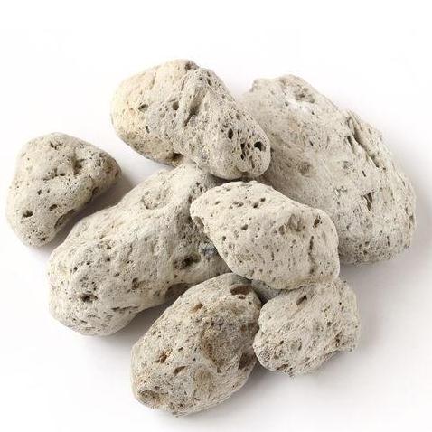 海浮石 拍2斤包邮 海石 水泡石 浮海石 浮水石 500g克 中草药材