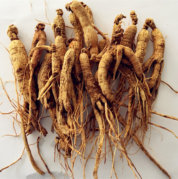 山参 500g克包邮 中药材 东北林下参 长白山参 移山参 园参人参