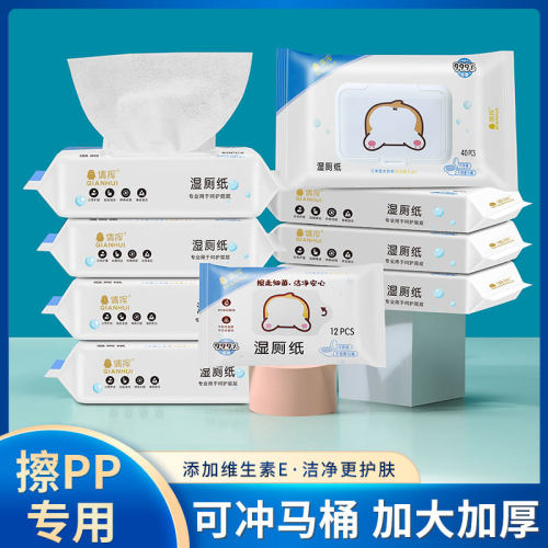 湿厕纸男女性洁阴私处清洁护理擦屁股抑菌洁厕湿巾纸可降解冲马桶