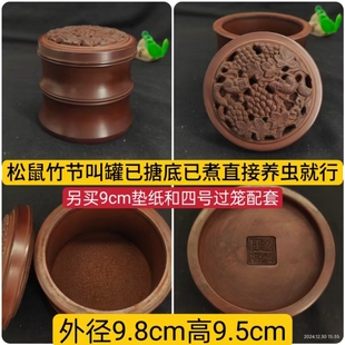 新款松鼠摘葡萄蝈蝈油葫芦蛐蛐蟋蟀鸣虫竹蛉马蛉玩赏叫罐已塘底已