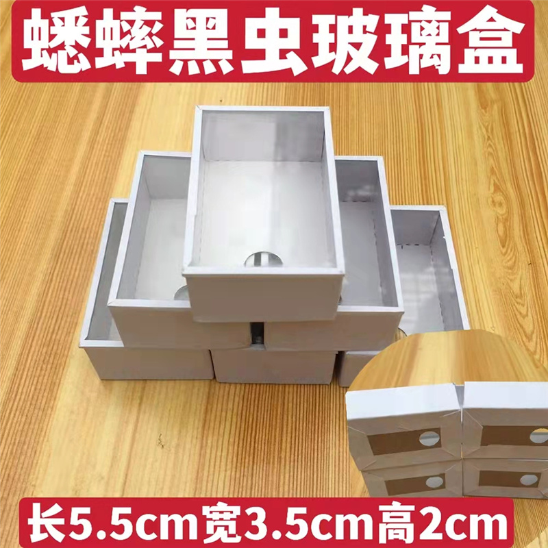 蟋蟀蛐蛐白虫黑虫油葫芦马蛉竹蛉塑料玻璃纸盒周转盒快递蟋蟀用具