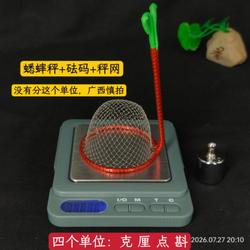 蟋蟀秤蛐蛐电子秤可换算单位克厘斟点转换宁阳蟋蟀用品鸣虫用具